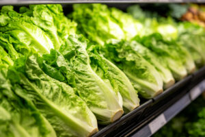 Fresh romaine lettuce heads arranged on a supermarket produce shelf